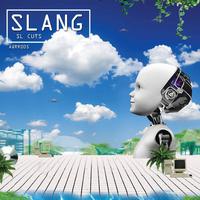 SLANG's avatar cover