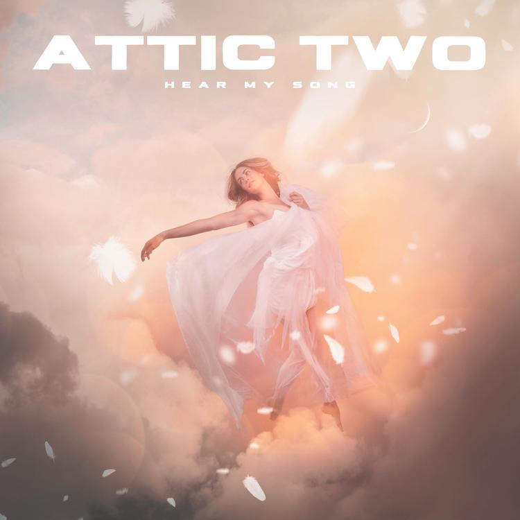 Attic Two's avatar image
