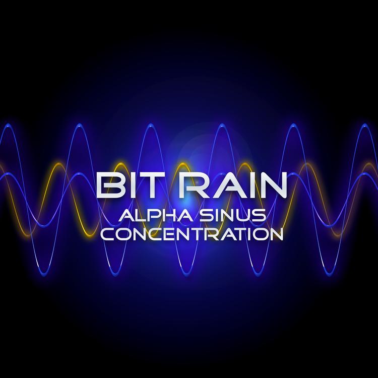 Bit Rain's avatar image