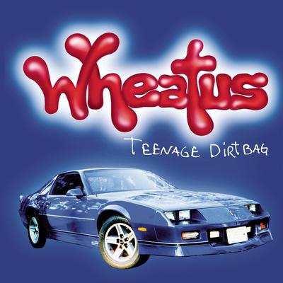 Teenage Dirtbag By Wheatus's cover