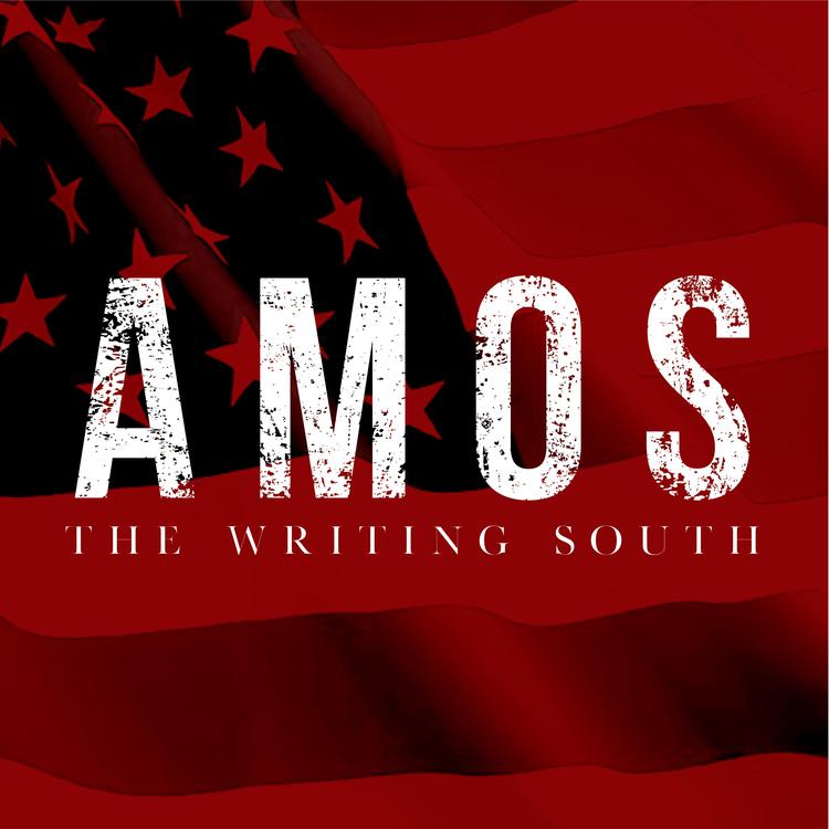 The Writing South's avatar image