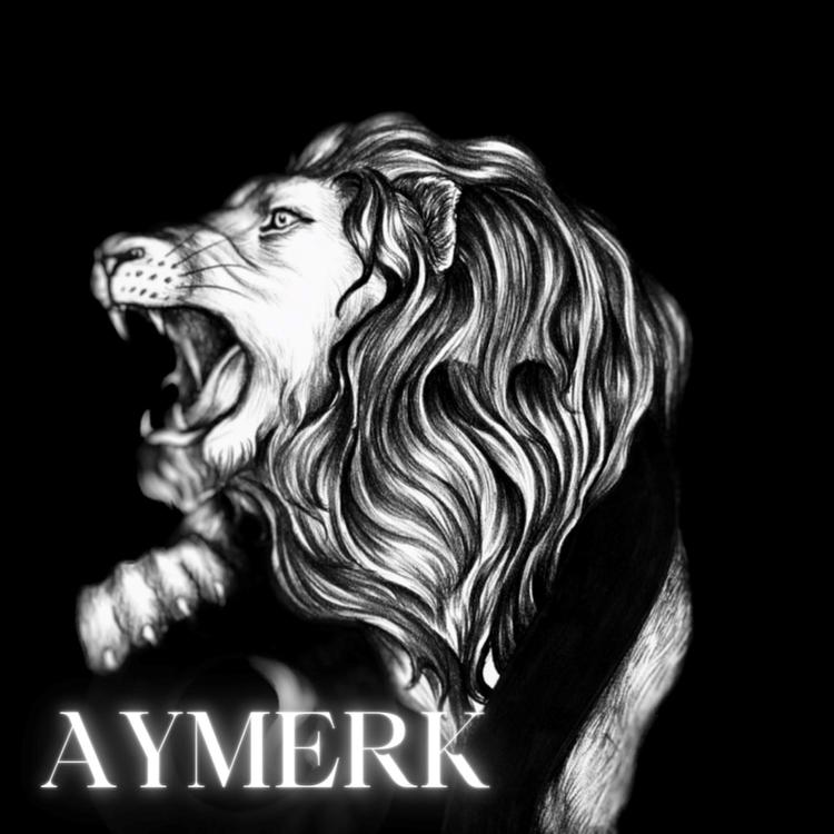 Aymerk's avatar image