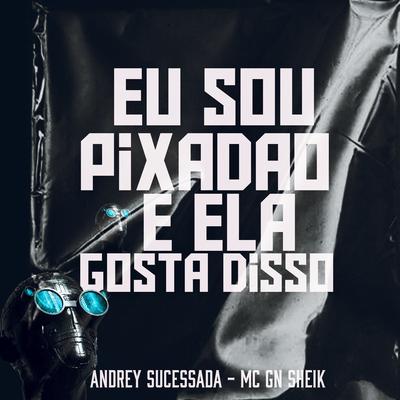 Eu Sou Pixadão e Ela Gosta Disso's cover