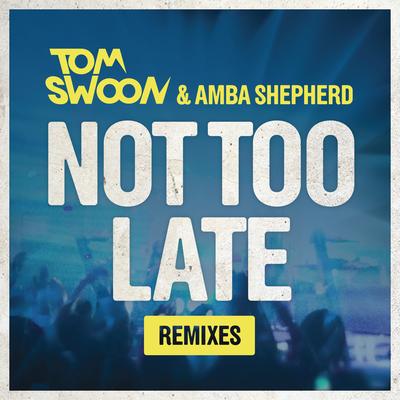 Not Too Late (Remixes)'s cover