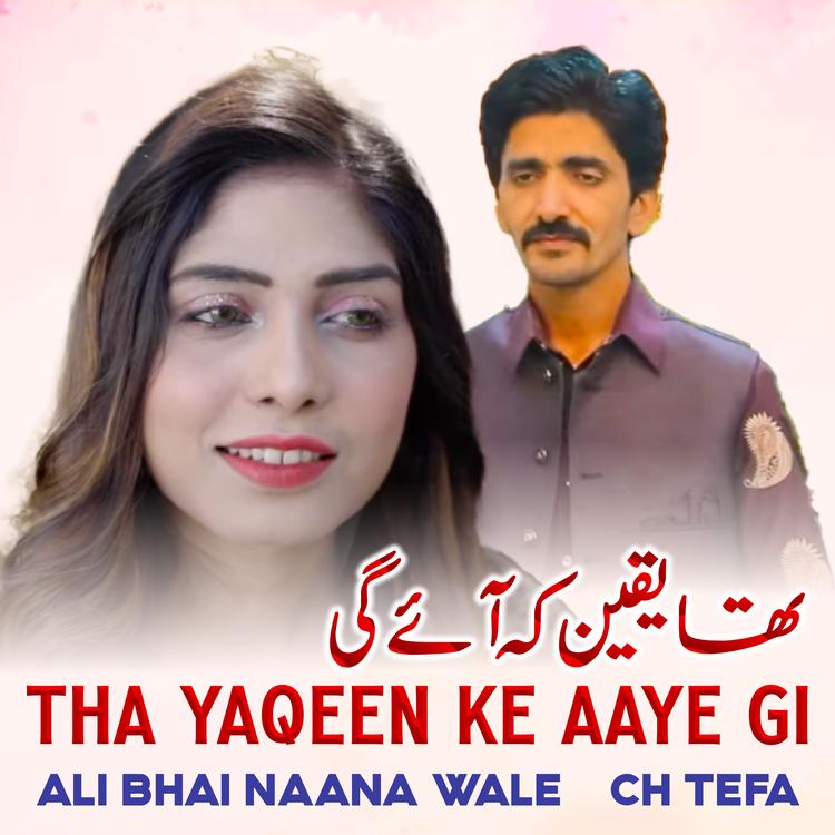 Ali Bhai Naana Wale Official TikTok Music List of songs and