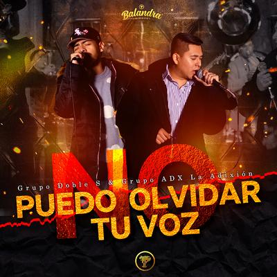 No Puedo Olvidar Tu Voz's cover