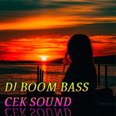 Dj Boom Bass Cek Sound's cover