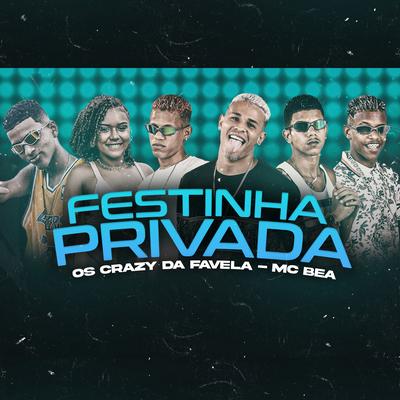 Festinha Privada's cover