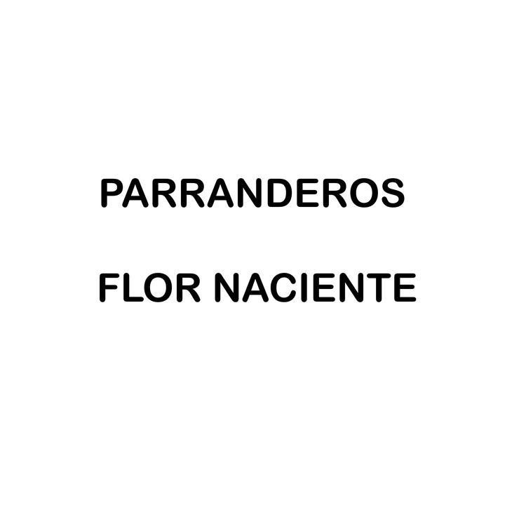 Parranderos's avatar image