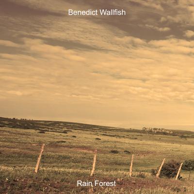 Seresta By Benedict Wallfish's cover