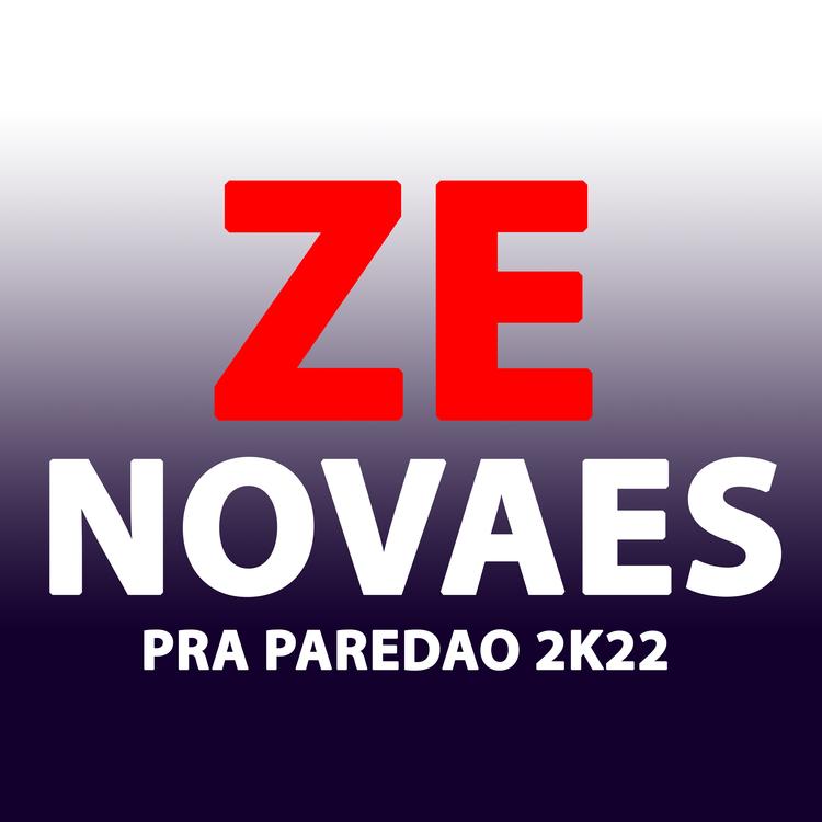 ZE NOVAES's avatar image