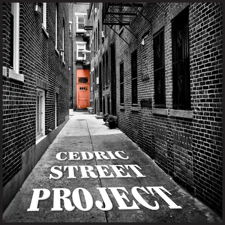 Cedric Street Project's avatar image