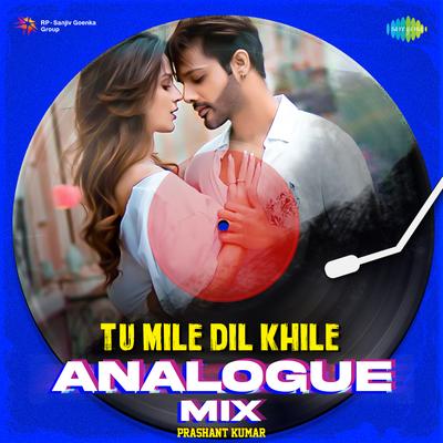 Tu Mile Dil Khile Analogue Mix's cover