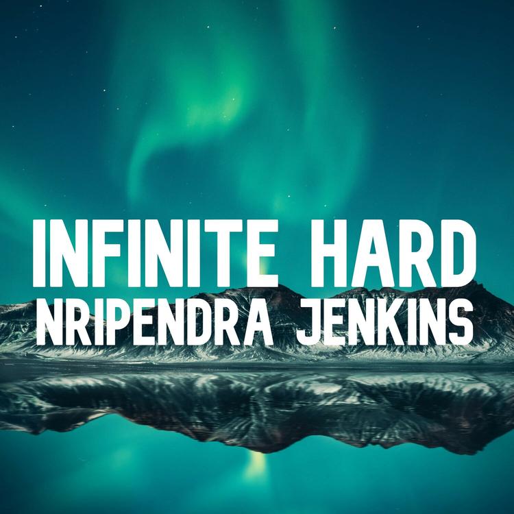 Nripendra Jenkins's avatar image