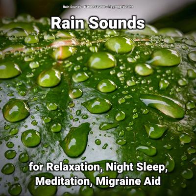 Rain Sounds for Relaxation Pt. 31 By Rain Sounds, Nature Sounds, Regengeräusche's cover