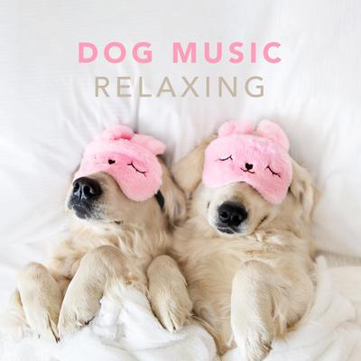 Dog Music - Relaxing Music for Dogs and Puppies, Pt. 20 By Sleepy Dogs, Dog Music Club's cover