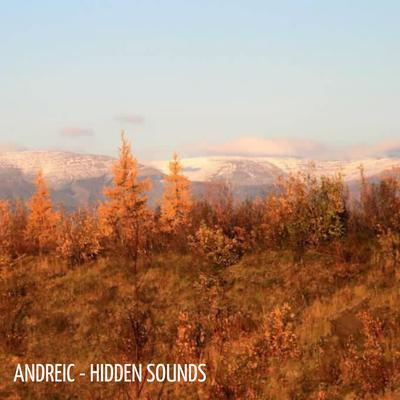 Hidden Sounds's cover