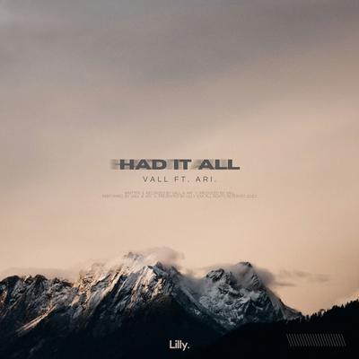 Had It All By Vall, Ari's cover
