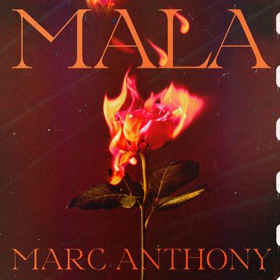 Mala By Marc Anthony's cover