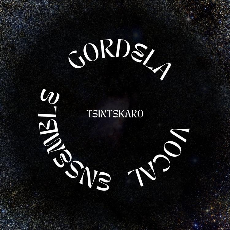 Vocal Ensemble Gordela's avatar image