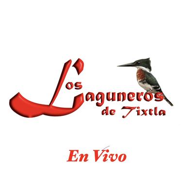 Laguneros de Tixtla (En Vivo)'s cover