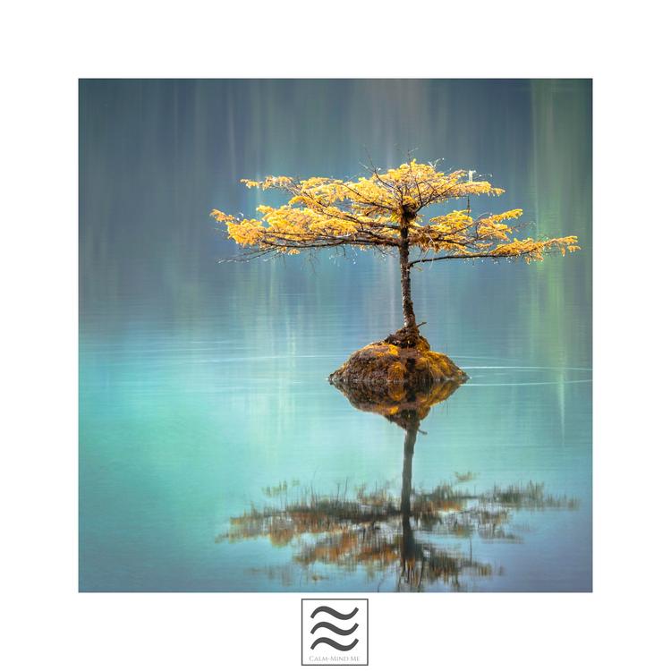 Calmful Soothing Sounds for Relax's avatar image