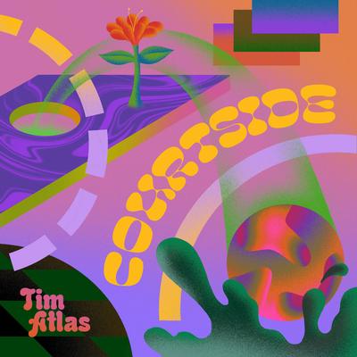 Courtside By Tim Atlas's cover