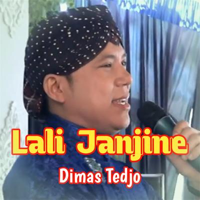 Lali Janjine's cover