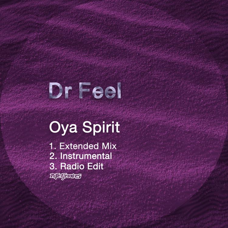 Dr Feel's avatar image