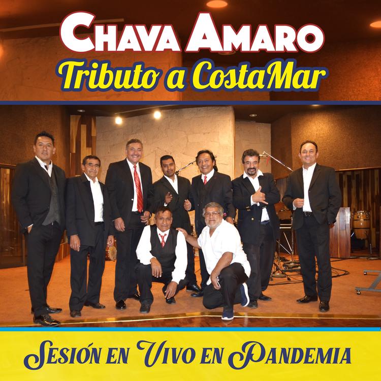 CHAVA AMARO's avatar image