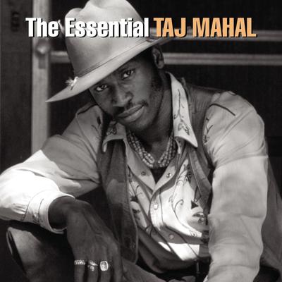 The Essential's cover