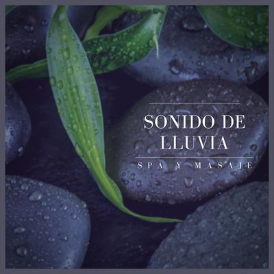 Sonido de Lluvia: Spa y Masaje, Pt. 14's cover