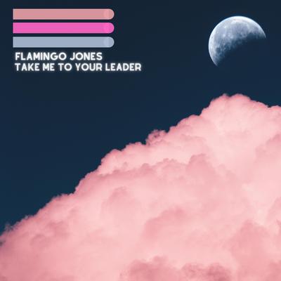 Take Me To Your Leader By Flamingo Jones's cover