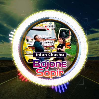 Bojone Sopir ( Remix )'s cover