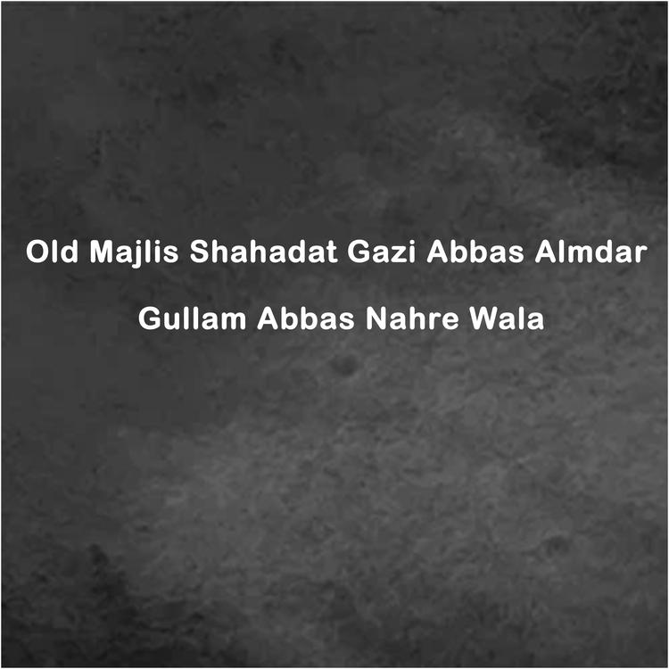 Gullam Abbas Nahre Wala's avatar image