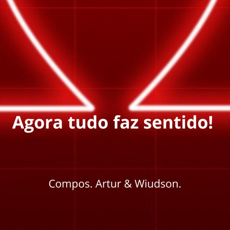 Artur e Wiudson's avatar image