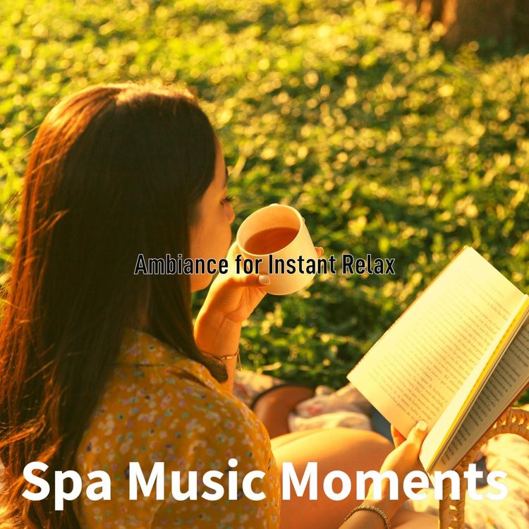 Spa Music Moments's avatar image