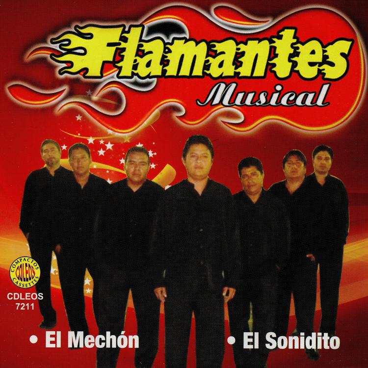 Flamantes Musical's avatar image