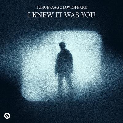 I Knew It Was You's cover