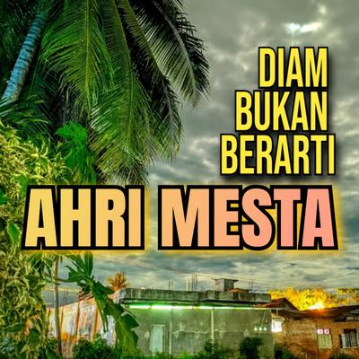 Diam Bukan Berarti's cover