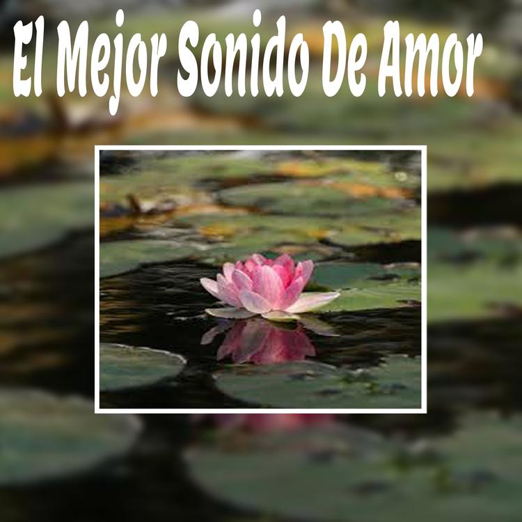 Sonido Para El Amor's avatar image