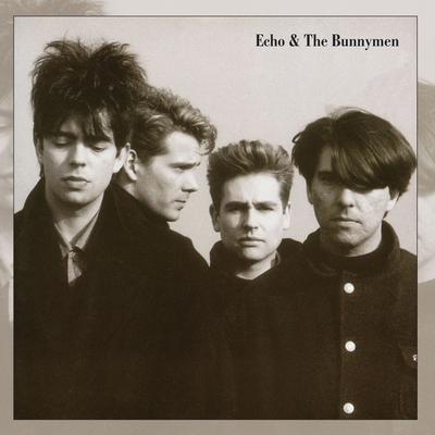 Echo & The Bunnymen's cover