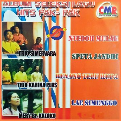 Album Seleksi Lagu Hits Pak Pak's cover