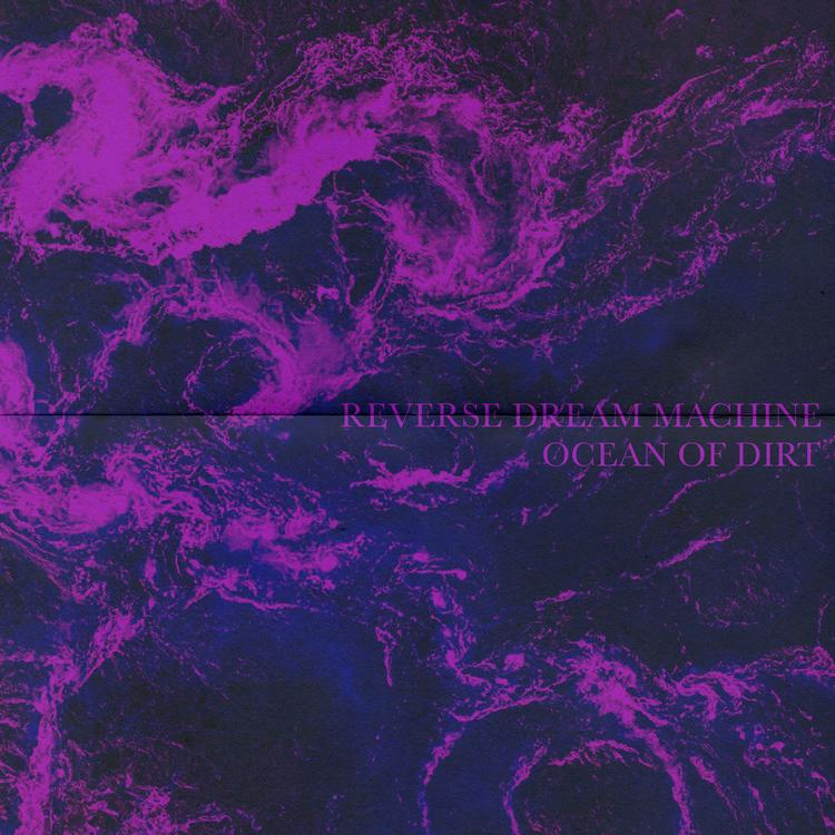 Reverse Dream Machine's avatar image