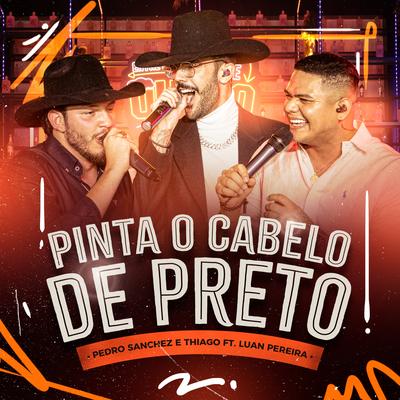 Pinta o Cabelo de Preto (Ao Vivo)'s cover