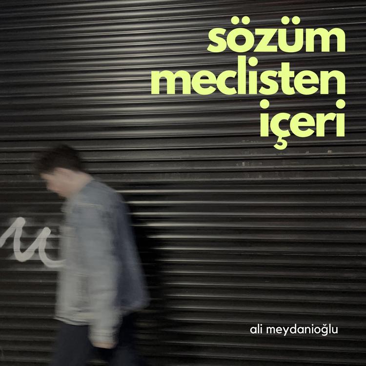 Ali Meydanioğlu's avatar image