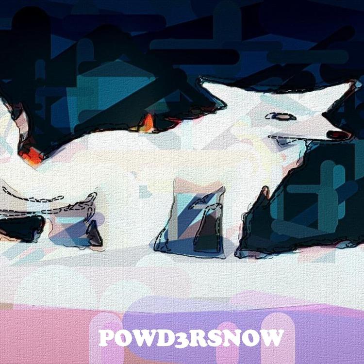 Powd3rSnow's avatar image
