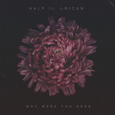 Why Were You Here By HALP, J-Rican's cover