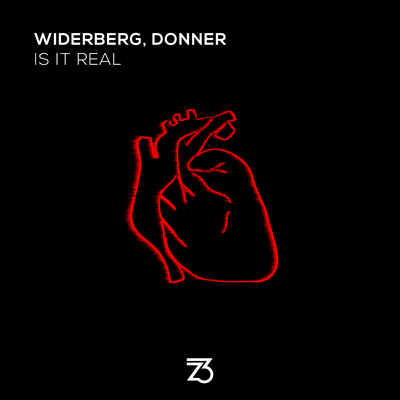 Is It Real By Widerberg, Donner's cover