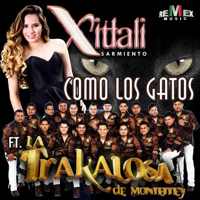 Como los Gatos (feat. Edwin Luna y La Trakalosa de Monterrey) By Xitlali Sarmiento, Edwin Luna y La Trakalosa de Monterrey's cover